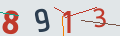 verifycode
